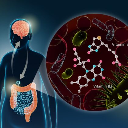 Gut-brain connection with B2 and B7 vitamins | Aesura Health